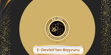 YARDIMCI HİZMETLER (1)