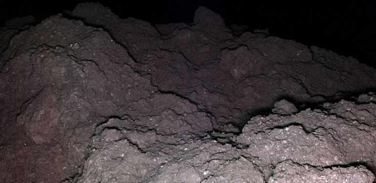 Asteroit Ryugu’da yaşamın temel yapı taşları bulundu